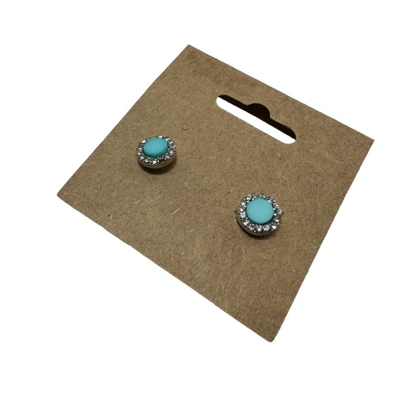 Round Turquoise Pierced Earrings - Picture 1 of 6